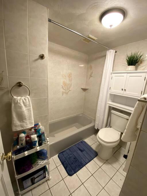 Glorious Suite Near Downtown With Washer/Dryer Gloucester Exterior foto
