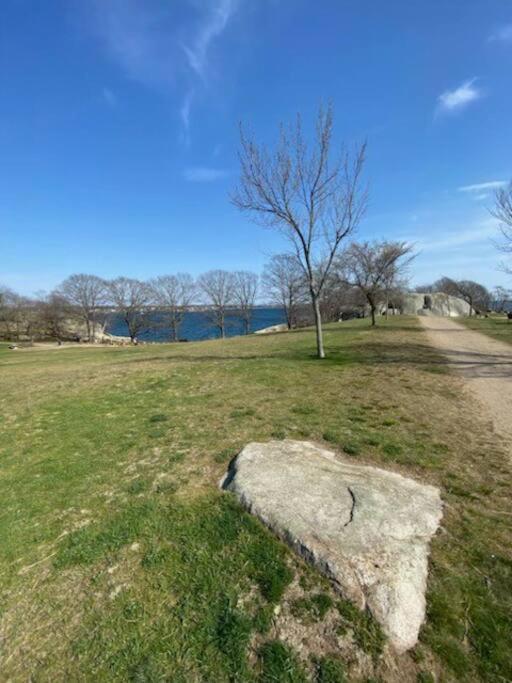Glorious Suite Near Downtown With Washer/Dryer Gloucester Exterior foto